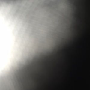 Meet your Posher, Jake